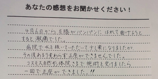 アンケート用紙