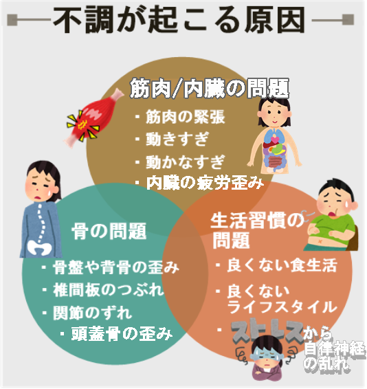 当院では不調が起こる原因を ○筋肉の問題 ○骨の問題 ○生活習慣の問題 と3つ考えています。 ○筋肉の問題 では、・筋肉の緊張 ・動きすぎ ・動かなすぎ ○骨の問題では ・骨盤や背骨の歪み ・椎間板のつぶれ ・関節のずれ ○生活習慣の問題では ・良くない食生活 ・良くないライフスタイル(たとえば睡眠不足) ・ストレス 以上のような大きく分けて3つが不調の起こる原因と考えています。